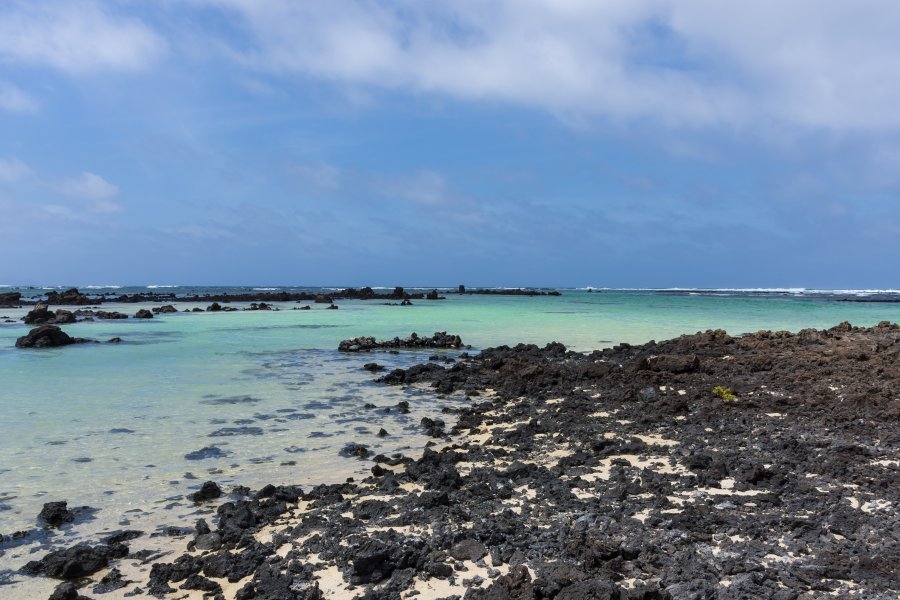 Caleton blanco, Lanzarote