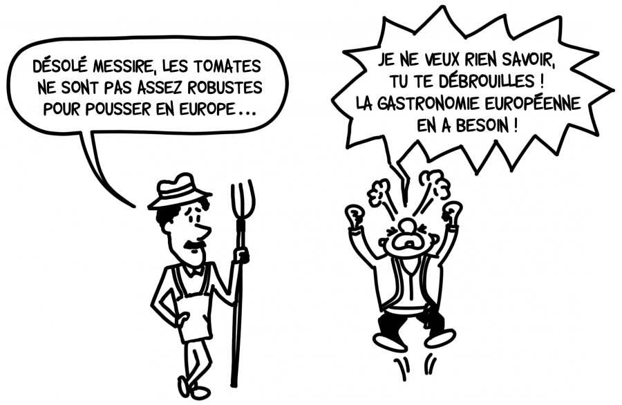 Dessin : le jardin d'acclimatation de Tenerife