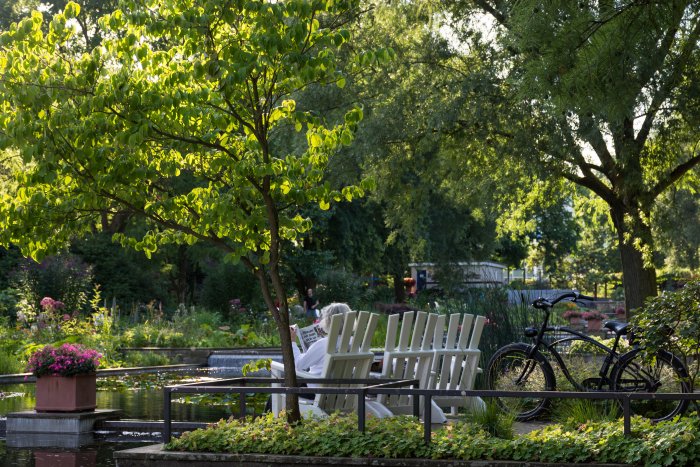 Parc Planten uns Blomen, Hambourg