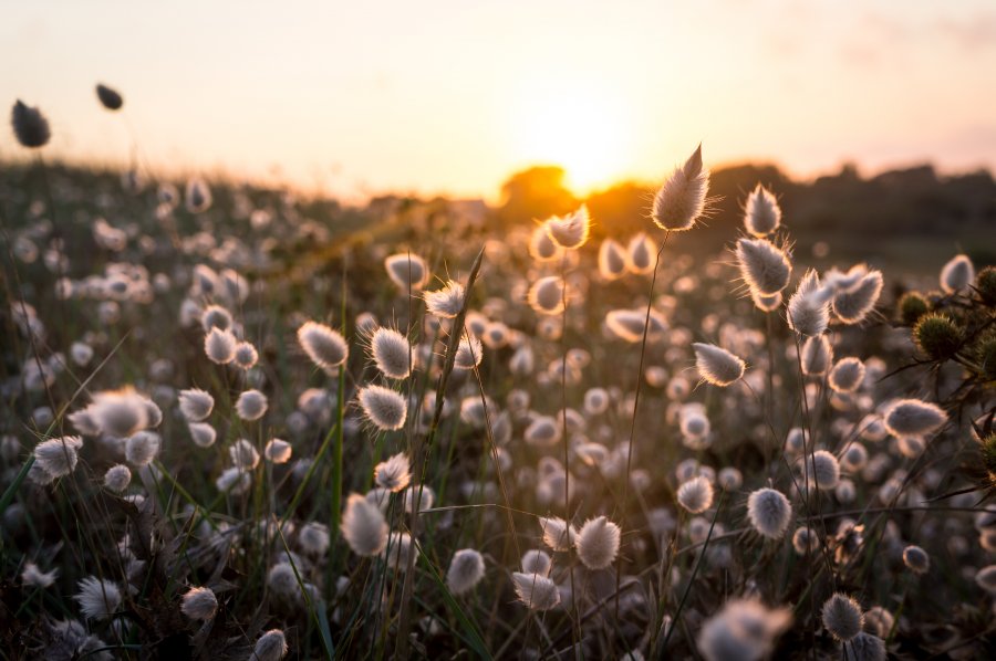 Coucher de soleil en Bretagne