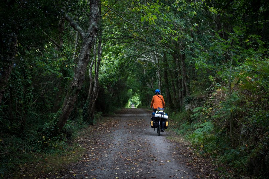 Vélo dans la forêt en Bretagne