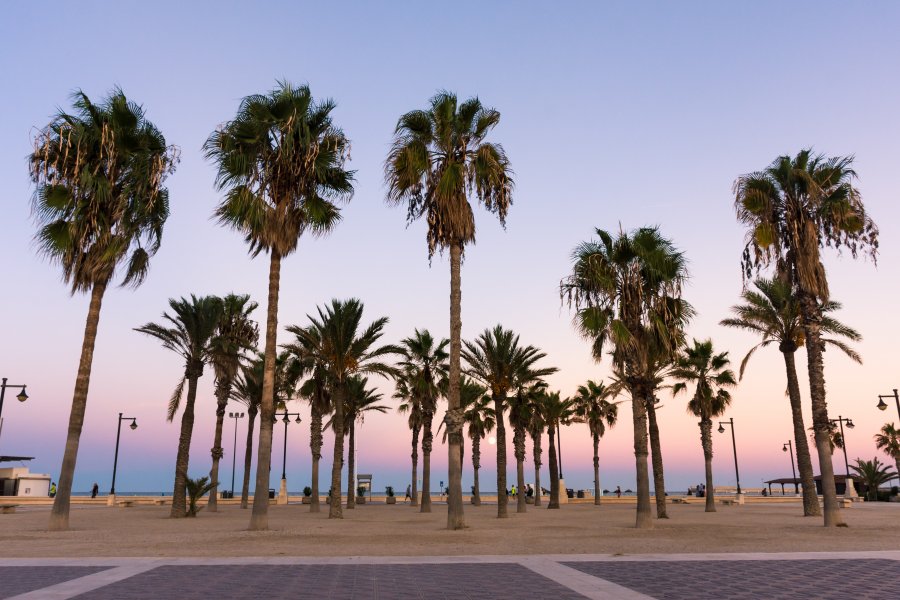 Plage de la Malvarrosa, Valence