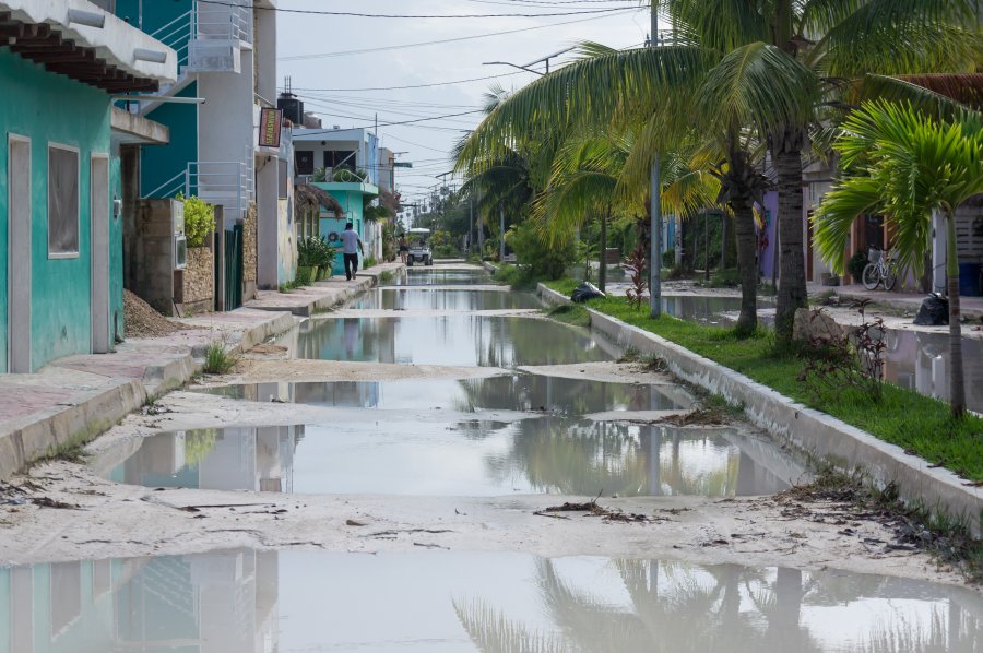 Gadoue à Holbox