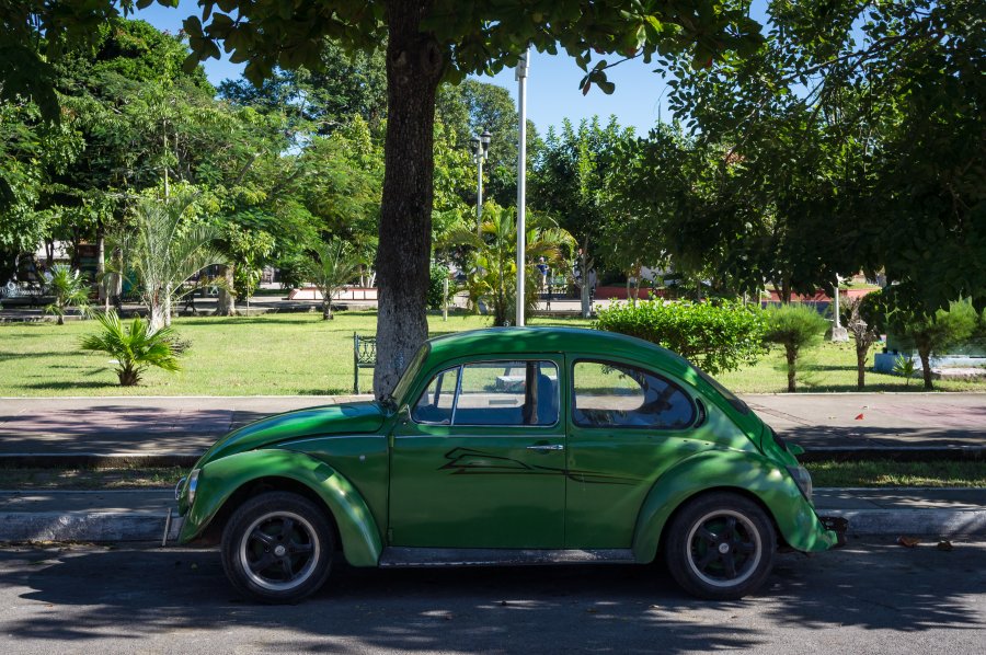 Coccinelle à Bacalar