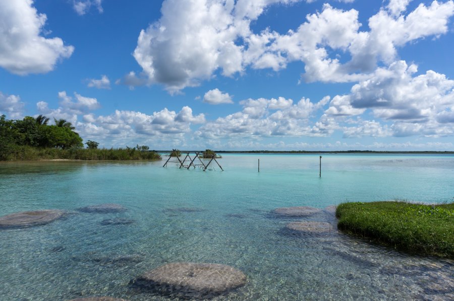 Cenote cocalitos, Bacalar, Mexique