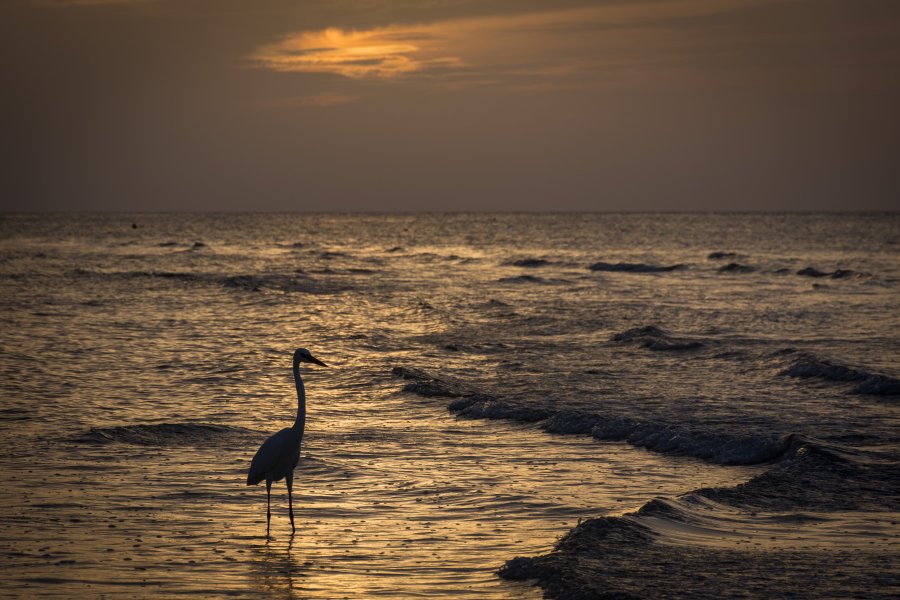 Plage d'Holbox, Mexique