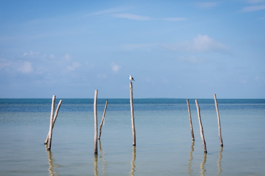 Punta Coco, Holbox, Mexique