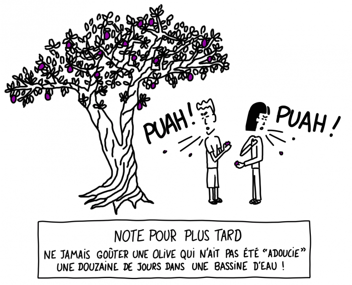 Dessin : les olives sont trop amères