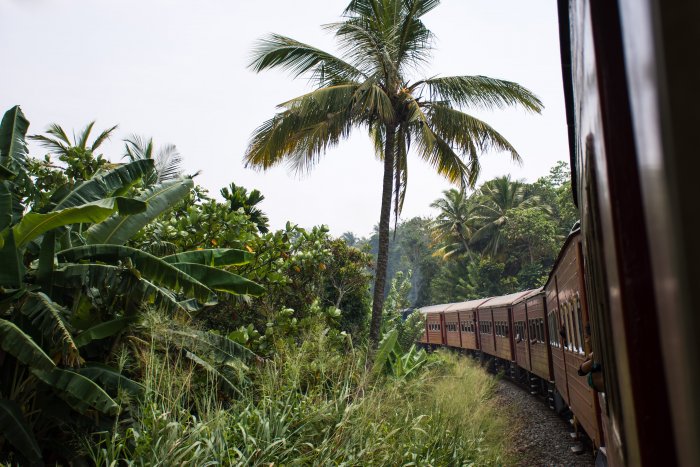 Train au Sri Lanka