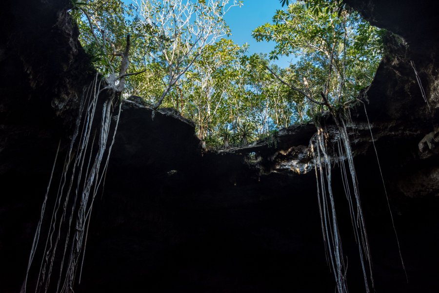 Cenote Noh-Mozon, Yucatán