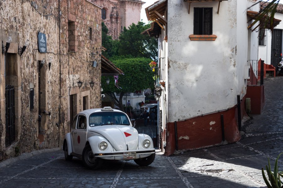 Coccinelle à Taxco, Mexique