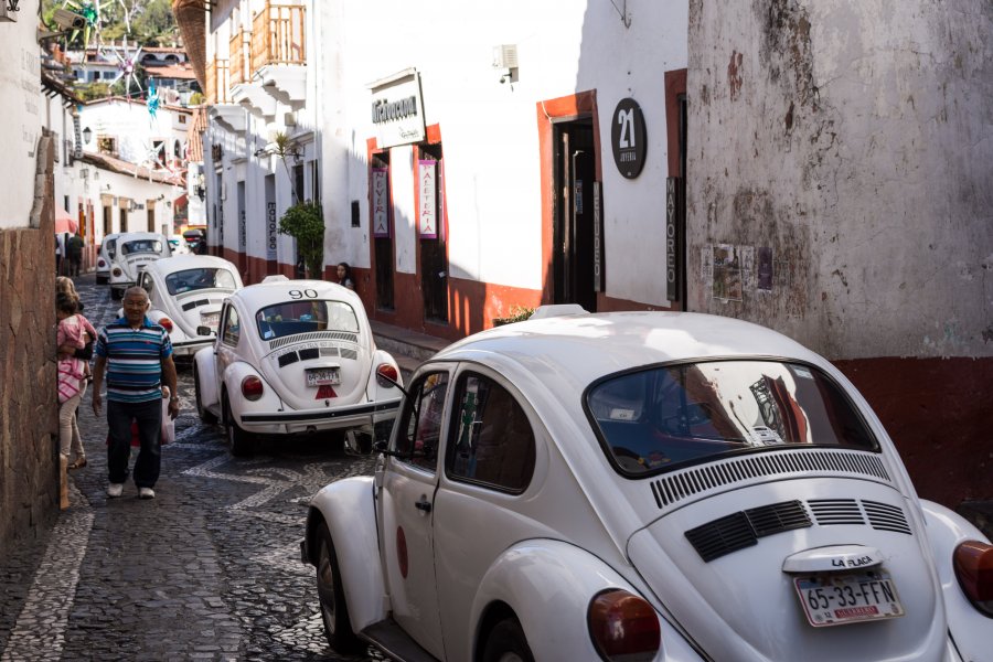 Coccinelle à Taxco, Mexique