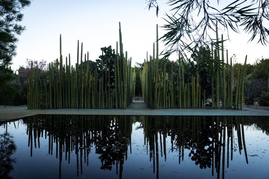 Jardin botanique de Oaxaca, Mexique