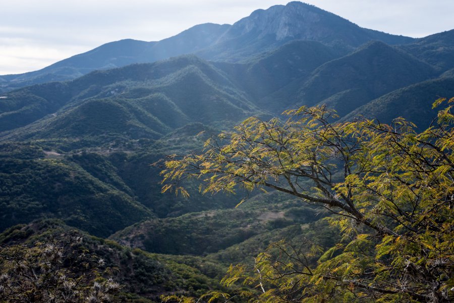 Hierve el Agua, Oaxaca, Mexique