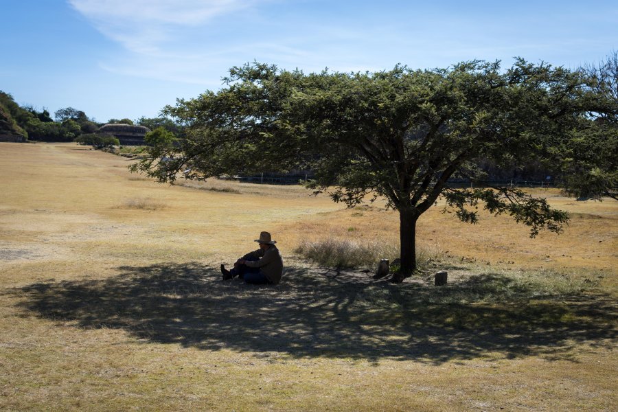 Monte Albán, Oaxaca