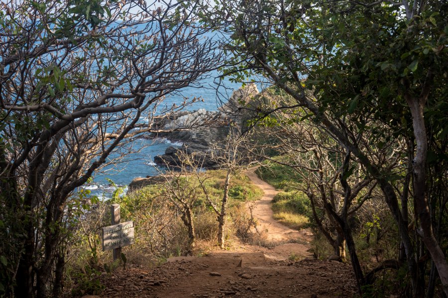 Punta cometa, Mazunte, Mexique