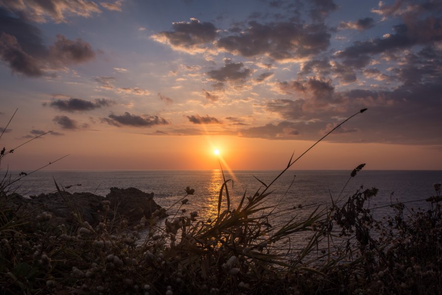 Punta cometa, Mazunte, Mexique