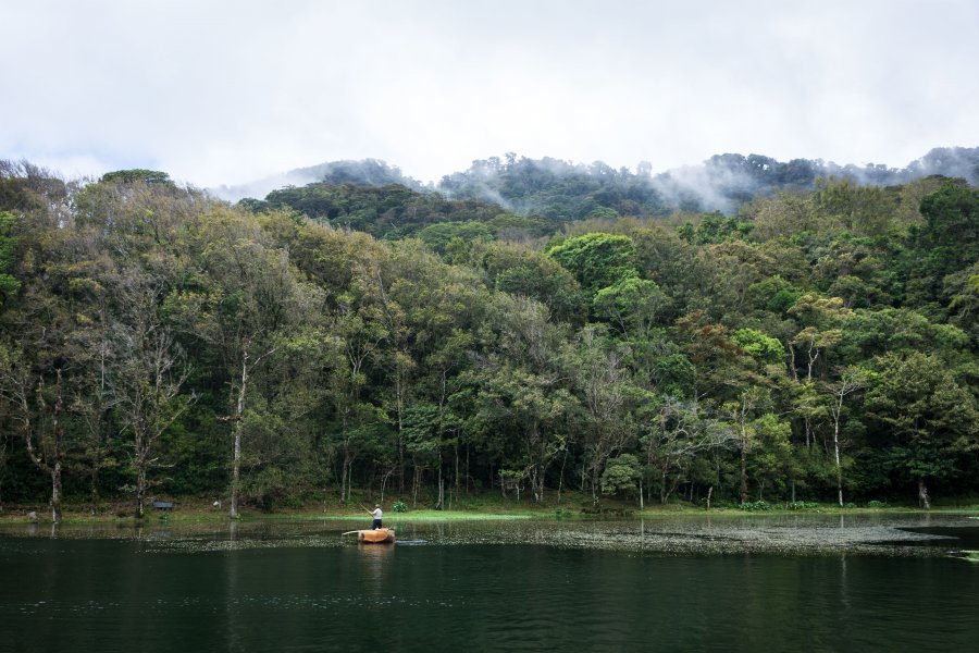 Selva Negra, Matagalpa, Nicaragua