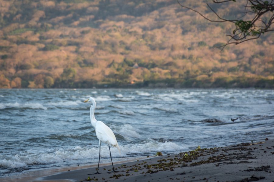 Plage de Santo Domingo, Ometepe, Nicaragua