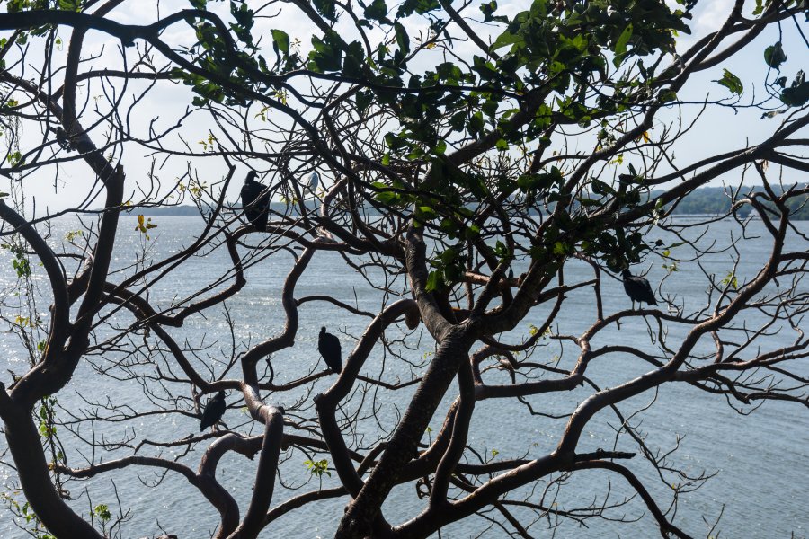 Charco verde, Ometepe, Nicaragua