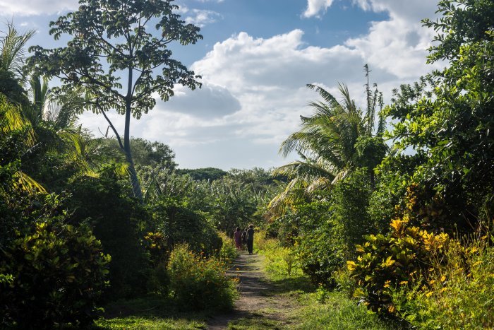 Charco verde, Ometepe, Nicaragua
