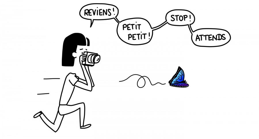 Dessin : Mi-fugue qui essaye de photographier un papillon