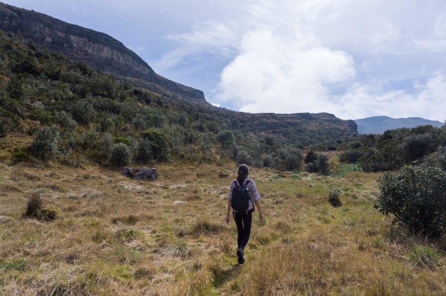 Randonnée dans le Paramo de Oceta, Colombie