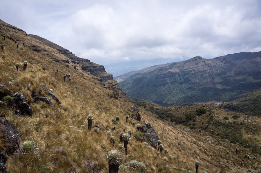 Randonnée dans le Paramo de Oceta, Colombie