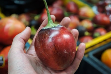 Tomate de arbol