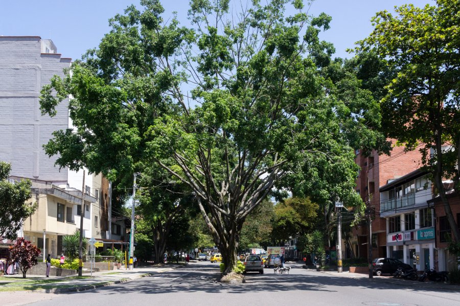 Le quartier de Laureles, Medellín, Colombie