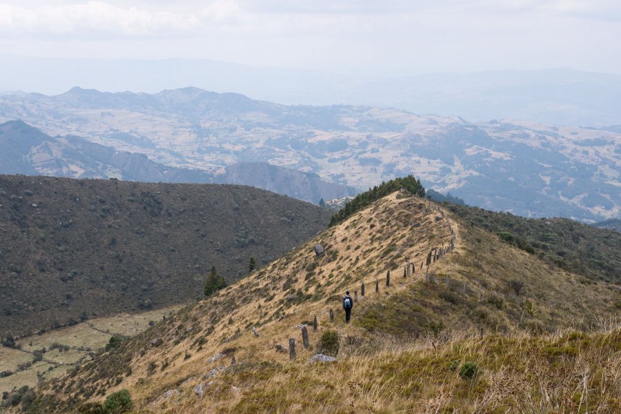 Paramo de Oceta, Colombie