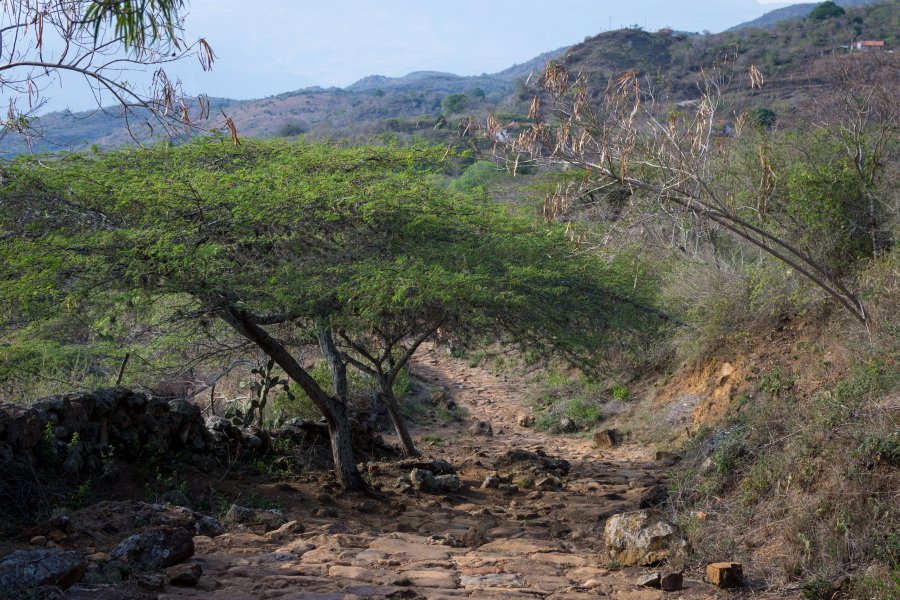 Chemin royal entre Barichara et Guane