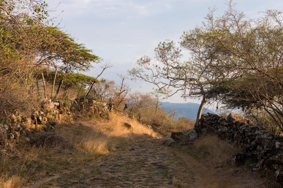 Chemin royal entre Barichara et Guane