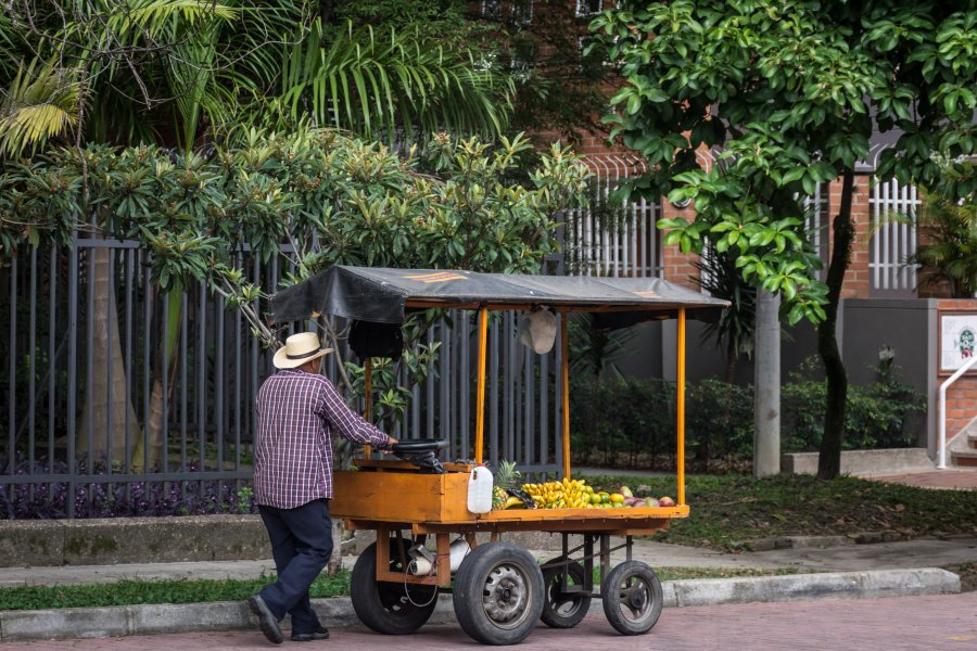 Vendeur ambulant de fruits et légumes