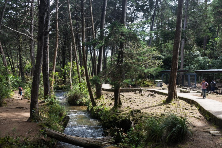 Parque Arvi, Medellín, Colombie