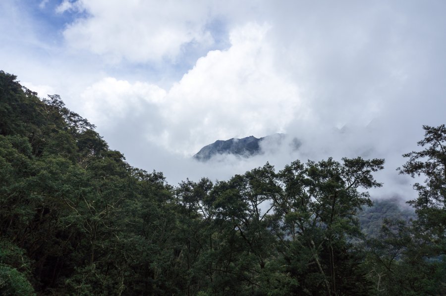 Nuages dans la vallée de Cocora, Colombie