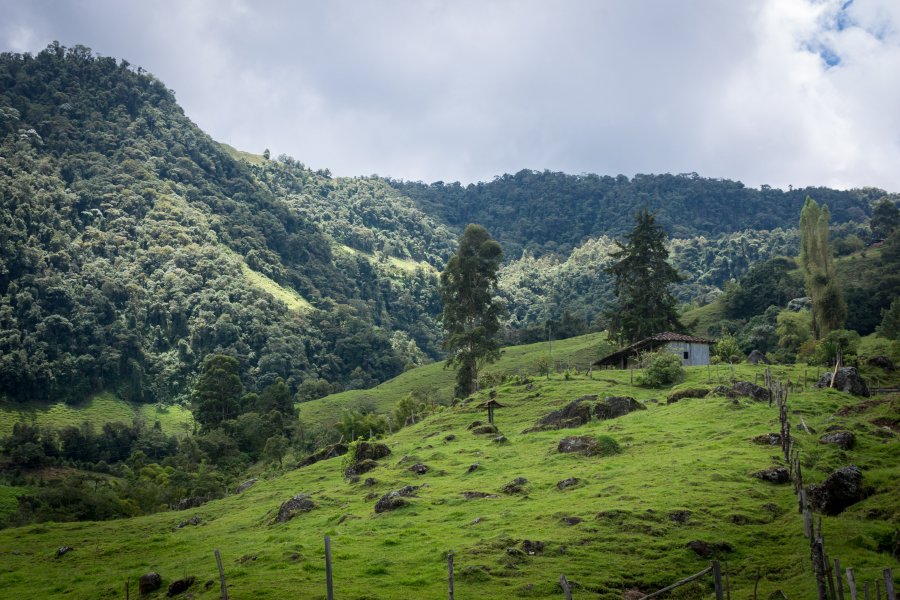 Randonnée près de Jardín, Colombie