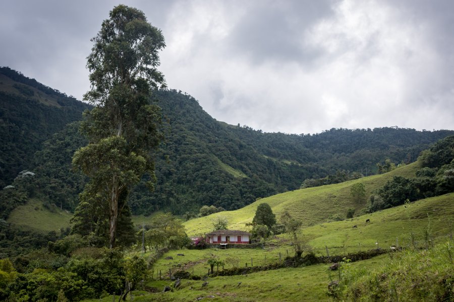 Randonnée près de Jardín, Colombie