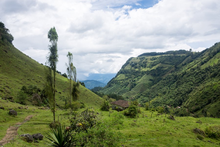 Randonnée près de Jardín, Colombie