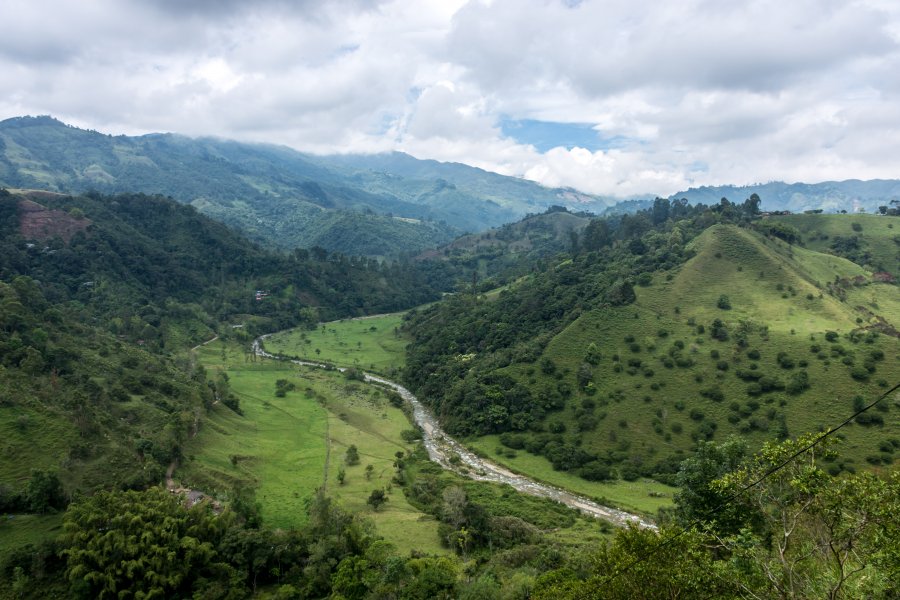 Vallée près de Salento, Colombie
