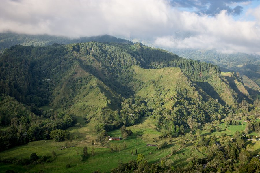 Mirador de Salento, Colombie