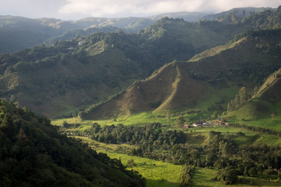 Mirador de Salento, Colombie