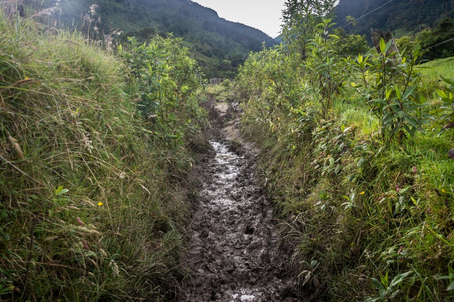 Randonnée boueuse à Salento, Colombie