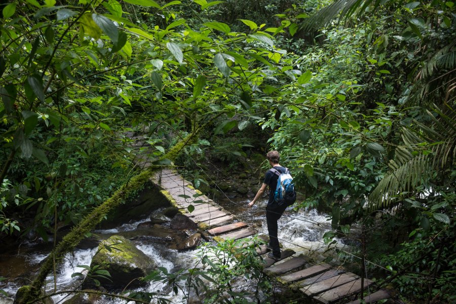 Pont suspendu dans la vallée de Cocora, Colombie