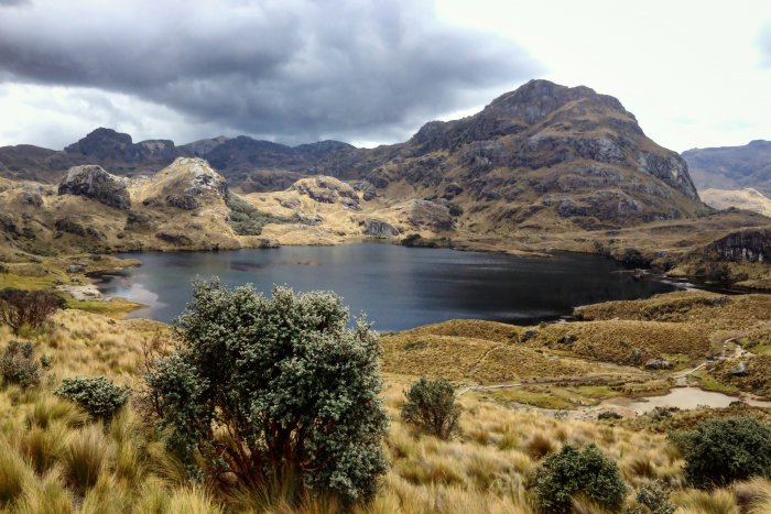 Las Cajas, Équateur