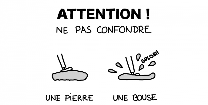 Dessin : Comment ne pas confondre une pierre et une bouse ?