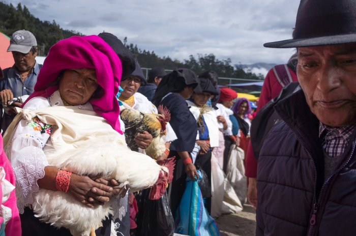 Marché aux animaux d'Otavalo, Équateur