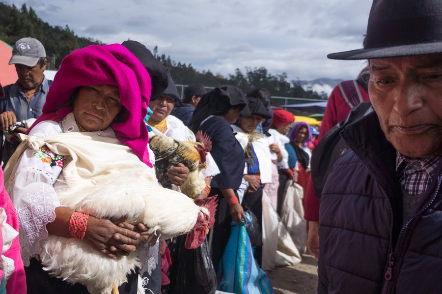 Marché aux animaux d'Otavalo, Équateur