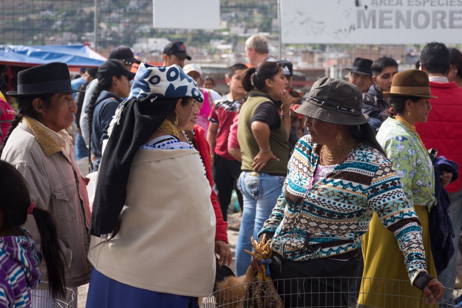 Marché aux animaux d'Otavalo, Équateur