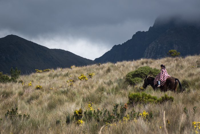 Volcan Pichincha, Quito, Équateur